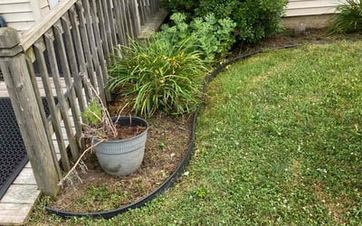Photo of Rachel H.'s yard after getting landscaping in Chalfont, PA
