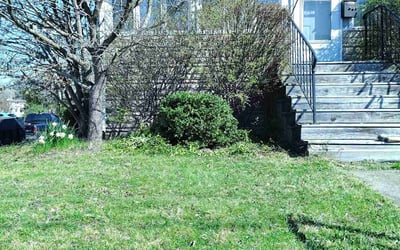 Photo of Angela C.'s yard after getting landscaping in Niles, OH