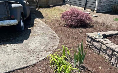 Photo of Rebecca R.'s yard after getting tree care in Gresham, OR