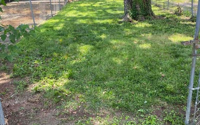 Photo of Cindy R.'s yard after getting landscaping in Mount Laurel, NJ