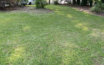 Photo of Leonard B.'s yard after getting landscaping in Garner, NC