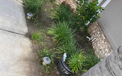 Photo of Kathy W.'s yard after getting landscaping in Middleburg, FL
