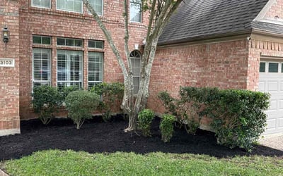 Photo of Chris H.'s yard after getting landscaping in Paige, TX