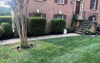 Photo of Amy S.'s yard after getting landscaping in Middleburg, VA