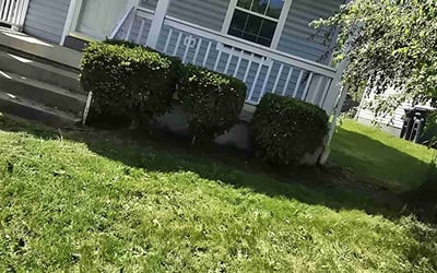 Photo of Annette H.'s yard after getting landscaping in Akron, OH