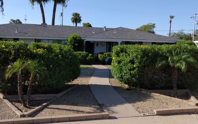 Photo of Heather J.'s yard after getting landscaping in Catalina, AZ