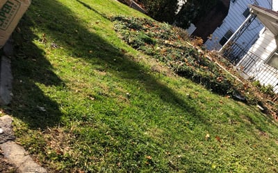 Photo of Christina S.'s yard after getting landscaping in Granville, OH