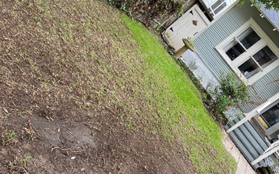 Photo of Jeff S.'s yard after getting landscaping in Hankamer, TX