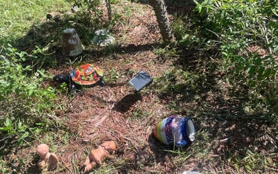 Photo of Lauren P.'s yard after getting landscaping in Belle Glade, FL