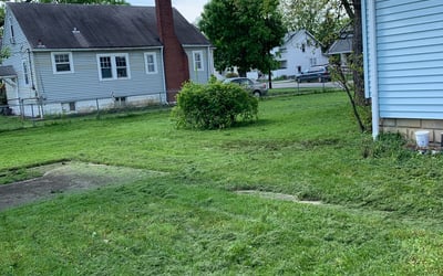 Photo of DEBORAH F.'s yard after getting landscaping in Edison, OH