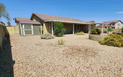 Photo of Linda G.'s yard after getting tree care in Marana, AZ