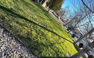 Photo of Monique T.'s yard after getting landscaping in Central City, CO