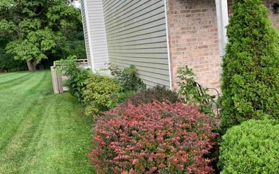 Photo of Terry L.'s yard after getting tree care in Mason, OH