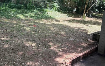 Photo of Ben S.'s yard after getting landscaping in Decatur, GA