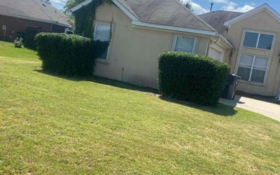 Photo of Steven S.'s yard after getting landscaping in Grovetown, GA