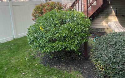 Photo of Deborah M.'s yard after getting landscaping in Worcester, MA