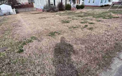 Photo of Jeff B.'s yard after getting landscaping in Mannboro, VA