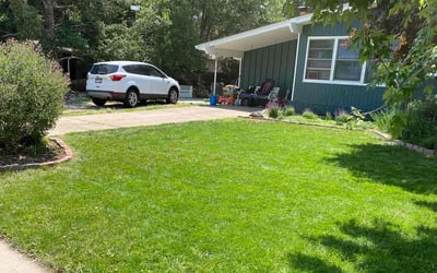 Photo of Teri L.'s yard after getting landscaping in Louviers, CO