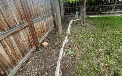Photo of Debania C.'s yard after getting tree care in Broomfield, CO