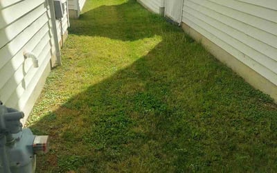 Photo of Shailesh N.'s yard after getting landscaping in Morrisville, NC