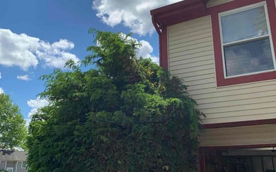 Photo of Randall R.'s yard after getting landscaping in Camby, IN