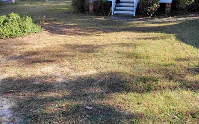 Photo of Chris G.'s yard after getting landscaping in Rockville, VA