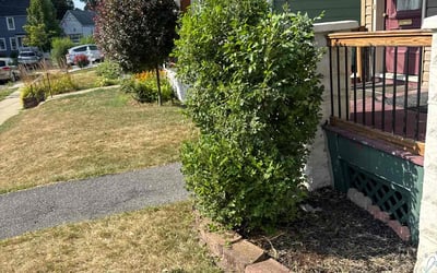 Photo of Kevin S.'s yard after getting landscaping in Schenectady, NY