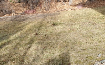 Photo of Robert H.'s yard after getting landscaping in Cripple Creek, CO