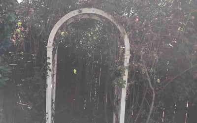 Photo of Andrew F.'s yard after getting tree care in Yorba Linda, CA