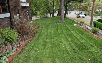 Photo of Eric B.'s yard after getting landscaping in Uniontown, PA