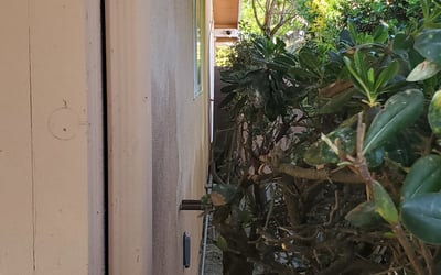 Photo of Alexis B.'s yard after getting landscaping in Corona Del Mar, CA