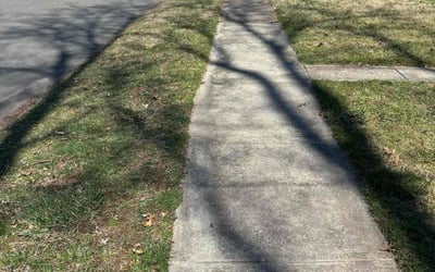 Photo of Darcy L.'s yard after getting landscaping in Guilford, CT