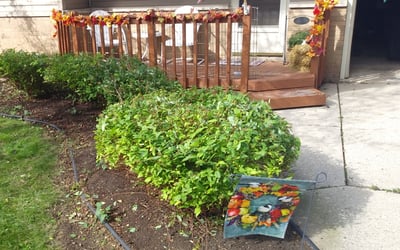 Photo of James A.'s yard after getting landscaping in Saukville, WI