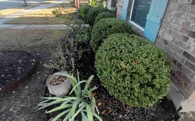 Photo of Michael P.'s yard after getting landscaping in Weir, TX