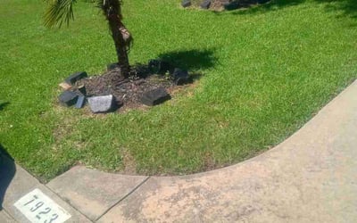 Photo of Jack E.'s yard after getting landscaping in Cypress, TX