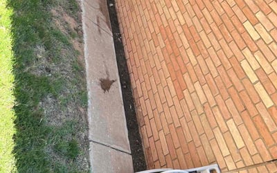 Photo of Brenda S.'s yard after getting landscaping in Slaton, TX