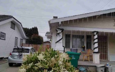 Photo of Megan D.'s yard after getting landscaping in San Ysidro, CA