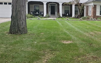 Photo of Michelle L.'s yard after getting landscaping in Delta, OH