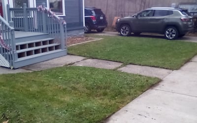 Photo of Jemila A.'s yard after getting tree care in Grand Rapids, MI