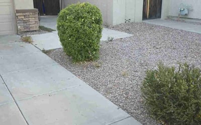 Photo of Samantha S.'s yard after getting landscaping in Bapchule, AZ