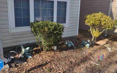 Photo of Ruby R.'s yard after getting landscaping in Bowdon, GA