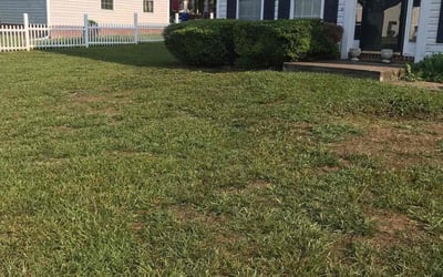 Photo of Ronald M.'s yard after getting landscaping in Powhatan, VA