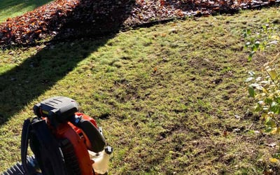 Photo of Lisa P.'s yard after getting landscaping in North Dartmouth, MA