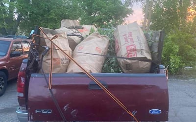 Photo of Petra F.'s yard after getting landscaping in Bethel, MN