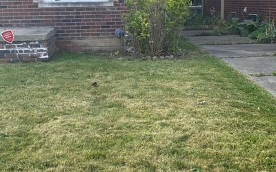 Photo of James R.'s yard after getting landscaping in Grosse Pointe, MI