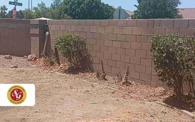 Photo of Jonathan D.'s yard after getting landscaping in Gilbert, AZ