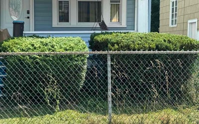 Photo of John a.'s yard after getting landscaping in Niagara Falls, NY