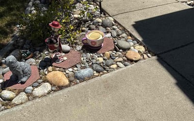 Photo of Brandon B.'s yard after getting landscaping in Orinda, CA