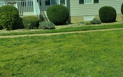 Photo of Mark J.'s yard after getting landscaping in Rockville, VA