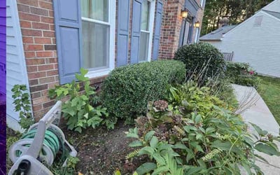 Photo of Andrew G.'s yard after getting landscaping in Cabin John, MD